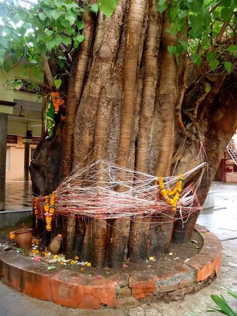 Sheetla Mata Mandir Gurgaon